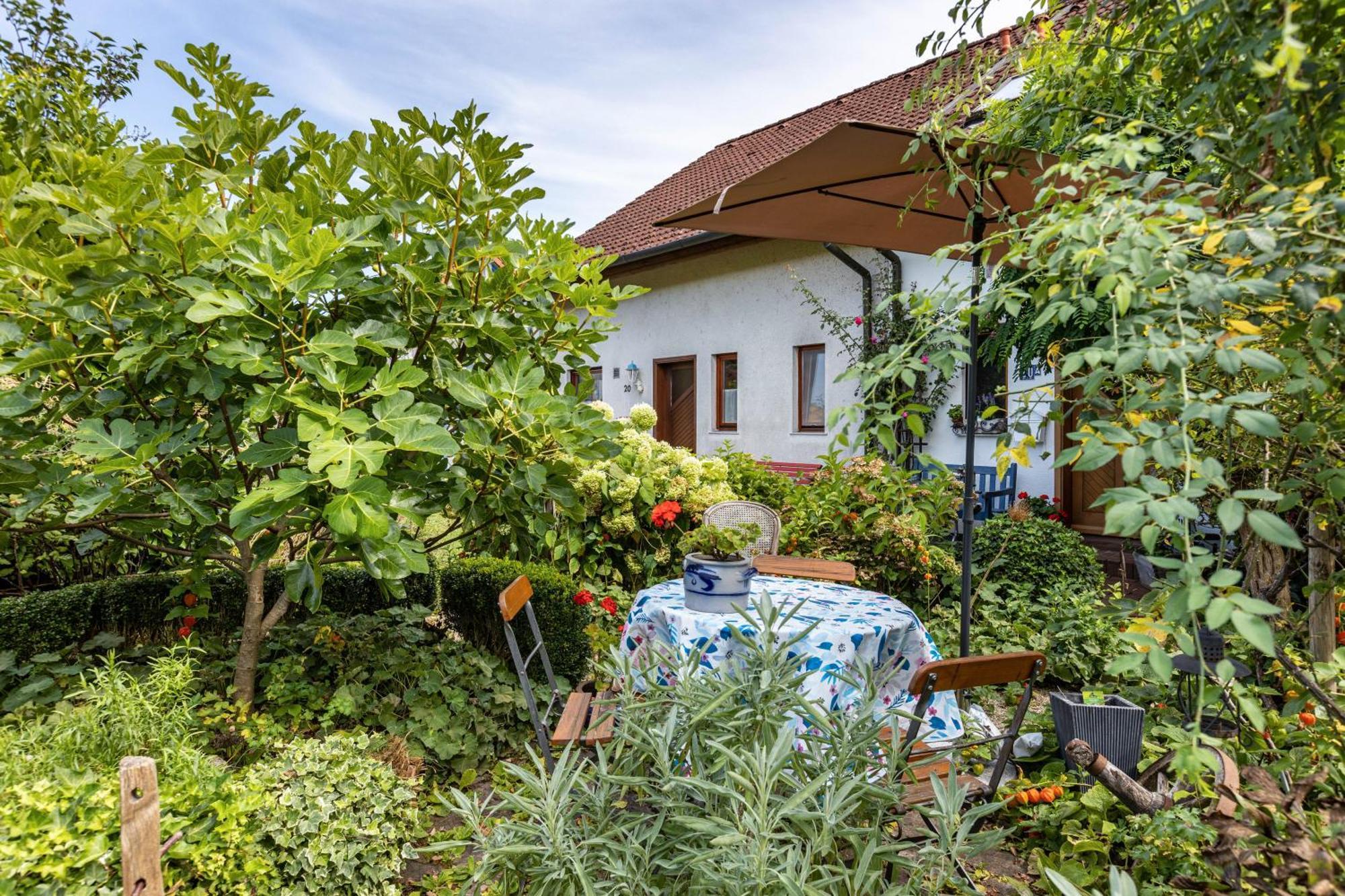 Ferienwohnung Alina Singen Exterior foto